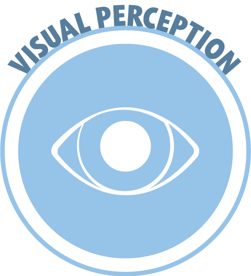 Visual Perception